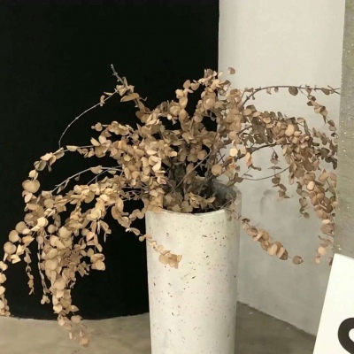 昌图福瑞交流群